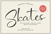 10 Premium Fonts Bundle For Business, a Serif Font by kangfont Studio (Thumbnail 9 of 10)