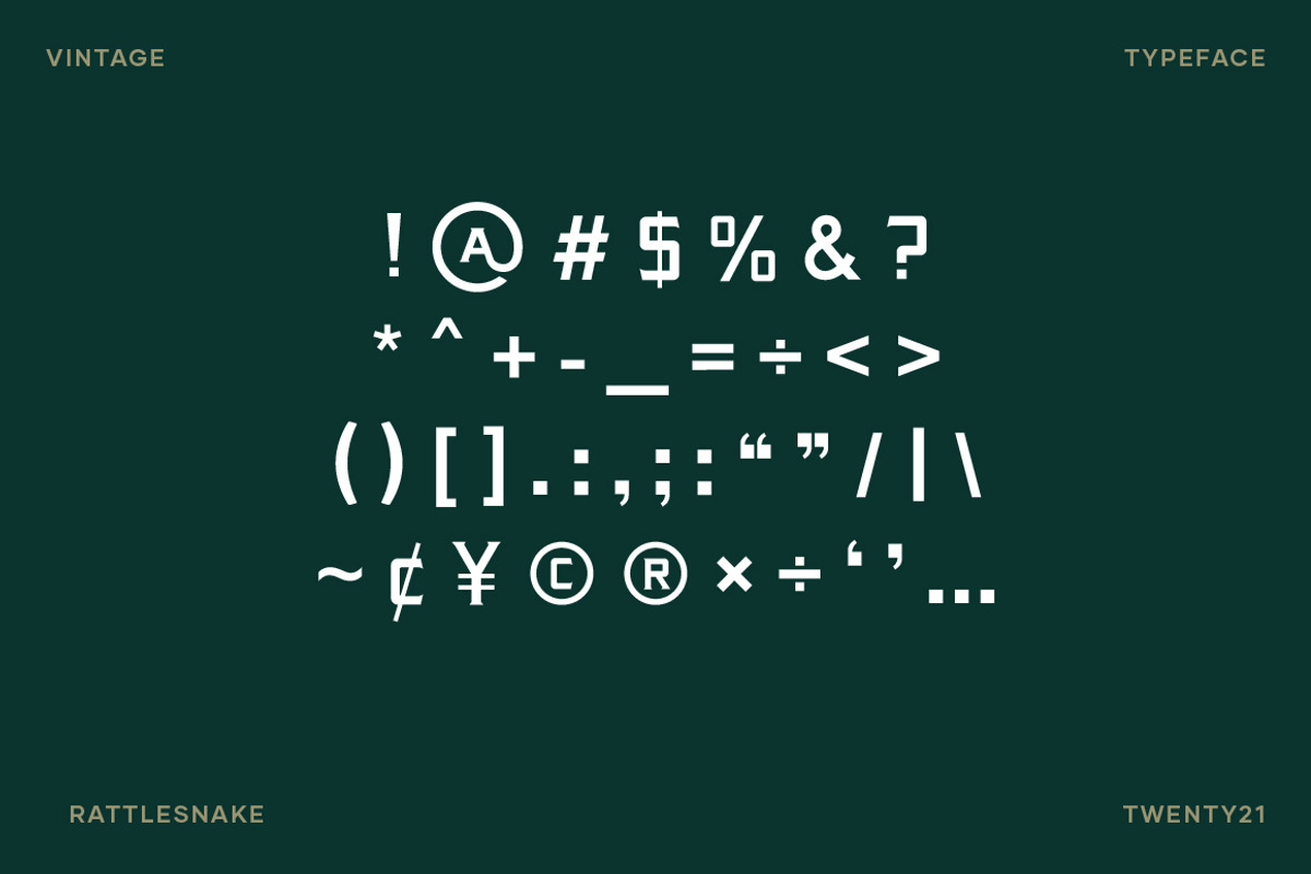 Rattlesnake - Vintage Serif Font, a Serif Font by Creative Type (Photo 12 of 13)