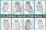 Owl on Snowy Branch Coloring Pages, an Animal Illustration by martinblan (Thumbnail 3 of 4)