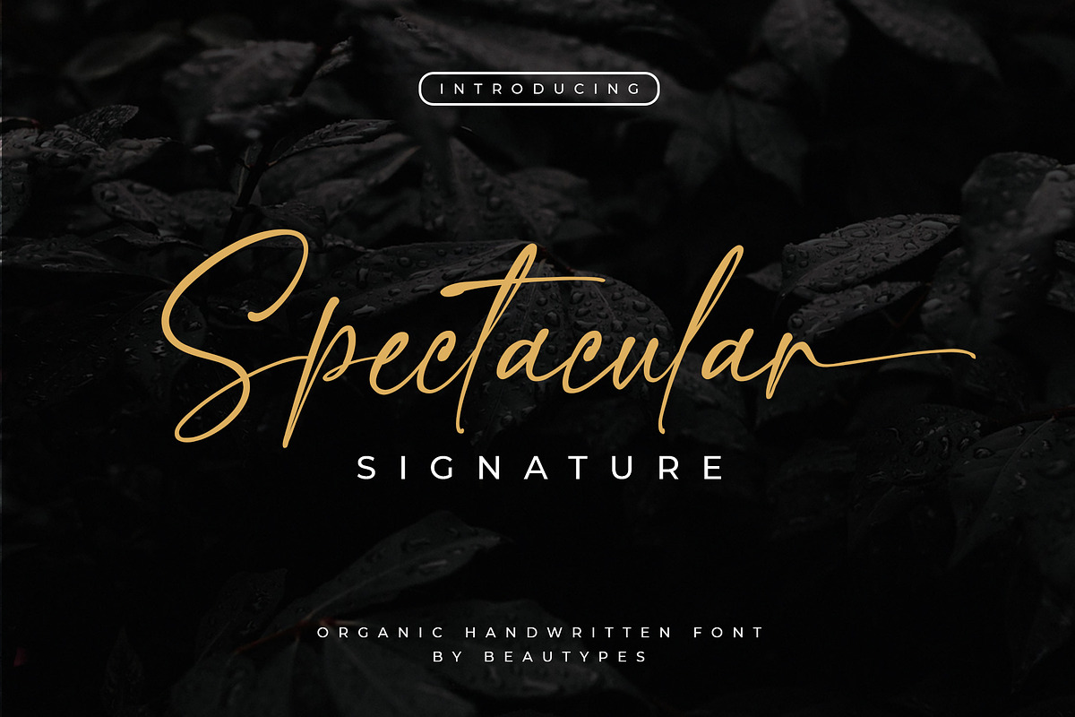 Spectacular Signature Font, a Script Font by Beautypes (Photo 1 of 8)