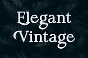 Koolvexa | A Modern Slab Serif, a Slab Serif Font by Qaratype (Thumbnail 13 of 16)