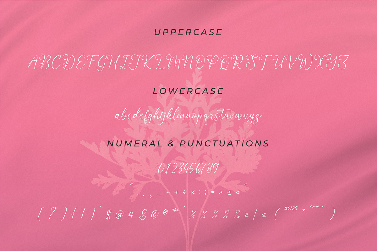 Nattalia Sillena, a Script Font by Integritype Studio (Photo 9 of 15)