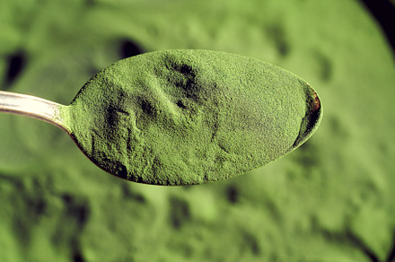 Green chlorella algae powder - healthy nutritional supplement, a Photo by Madeleine Steinbach