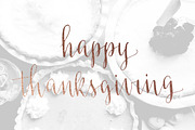 Thanksgiving Calligraphy Overlays, a Decorative Illustration by Irina Vascovet (Thumbnail 6 of 7)