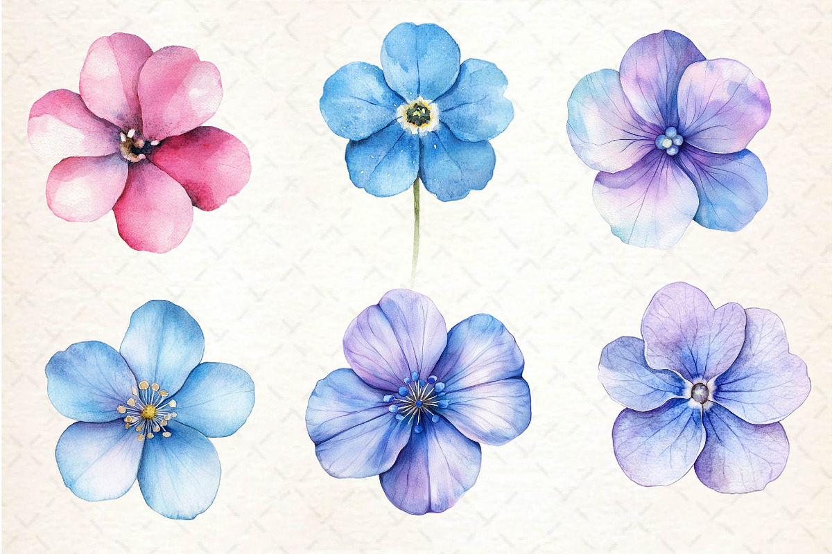 Forget Me Not Flower Bloom Clipart, an Illustration by Dream Creation (Photo 4 of 5)