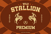 Horse Boy Typeface, a Serif Font by alit design (Thumbnail 2 of 18)