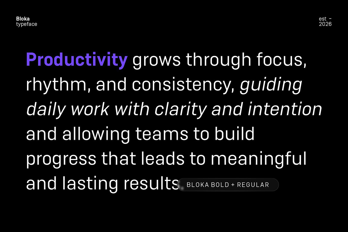 Bloka | Sans Serif Family, a Font by Digitype Studio (Photo 8 of 14)