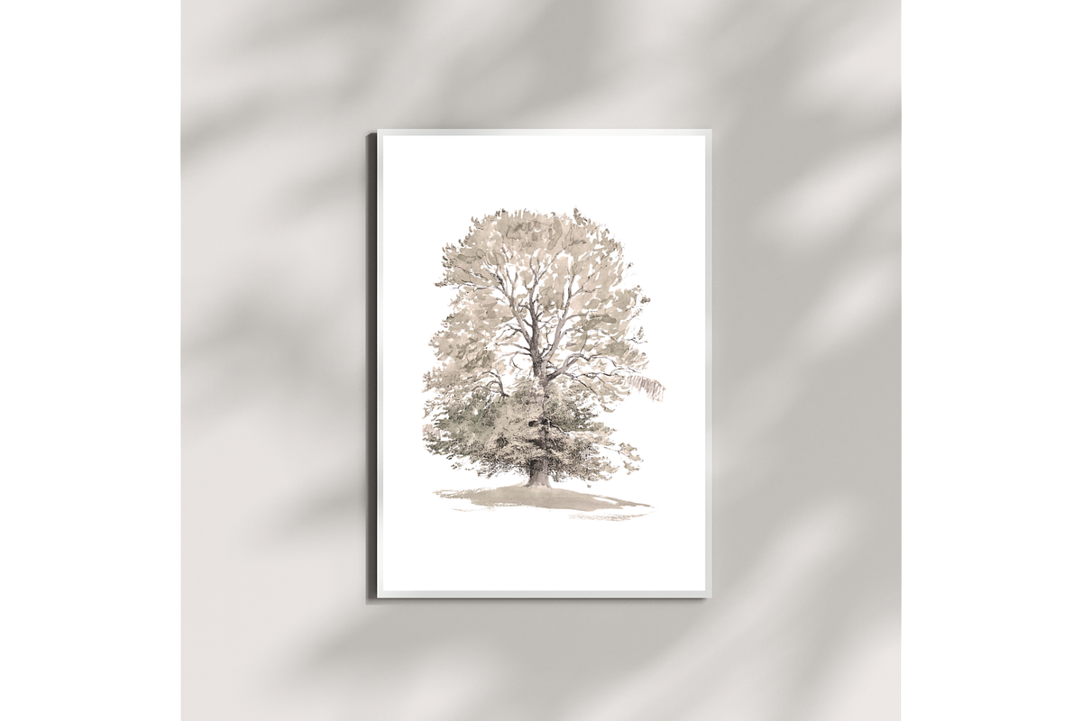 Vintage Tree Sketch Wall Art, a Decorative Illustration by Pink_bloom (Photo 3 of 10)