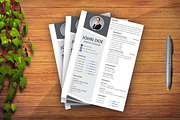 Professional Resume Template, a Resume Template by Annudesign (Thumbnail 5 of 9)