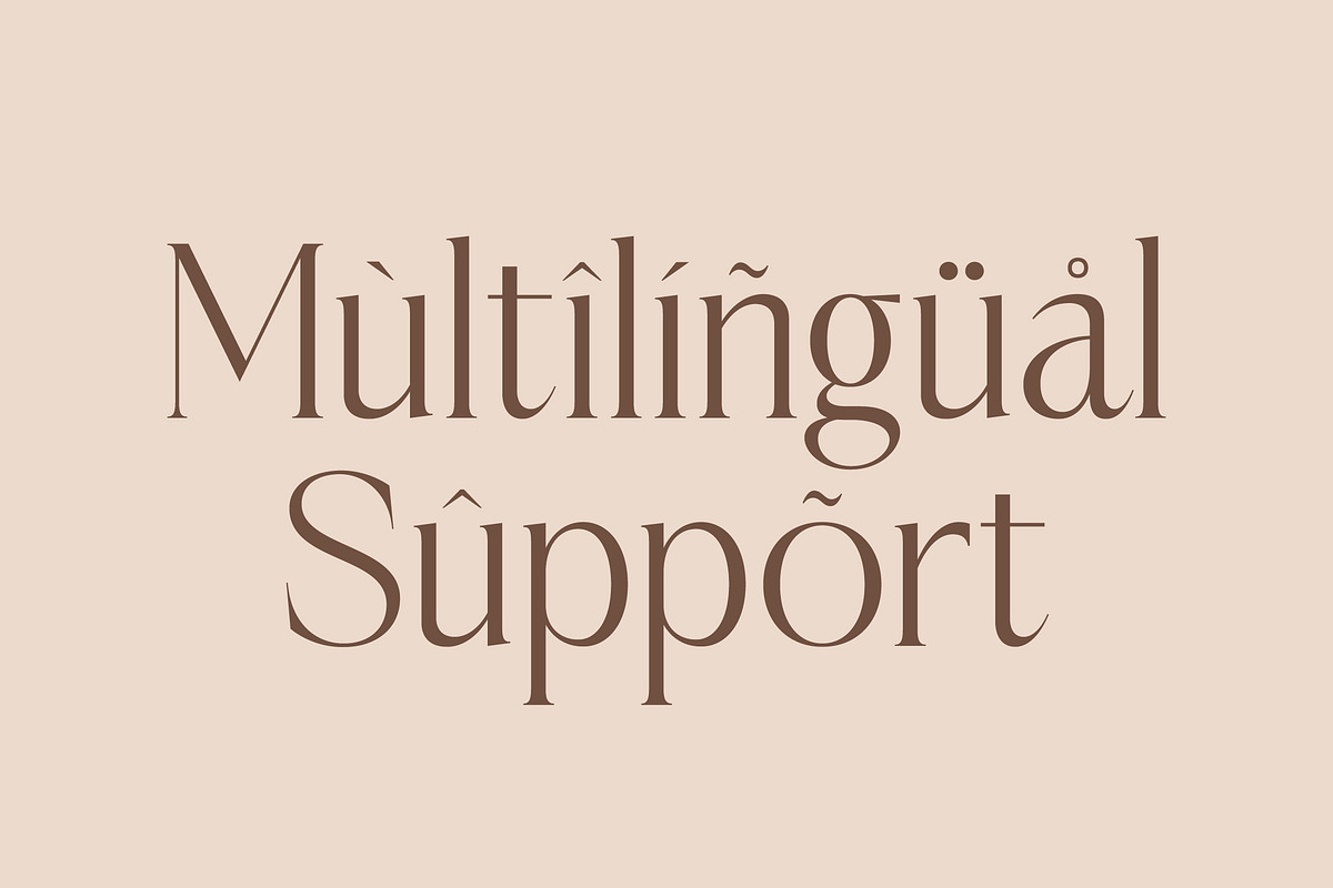 Casselin Modern Serif Font, a Serif Font by Letterena Studios (Photo 12 of 15)