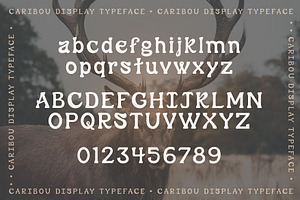 Caribou Retro Serif