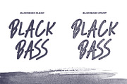 Black Bass, a Font by sabrcreative (Thumbnail 6 of 10)