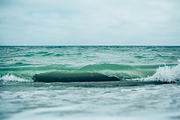 Coastal bundle, 15 photos, a Nature Photo by Frostroomhead (Thumbnail 8 of 16)