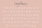 Amaro | Script + 6 Free Logos, a Script Font by Jen Wagner Co (Thumbnail 12 of 12)