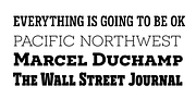 Novecento Slab, a Serif Font by Synthview Type Design (Thumbnail 2 of 7)