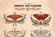 Insects and Flowers, an Animal Illustration by Ink Stories (Thumbnail 8 of 15)