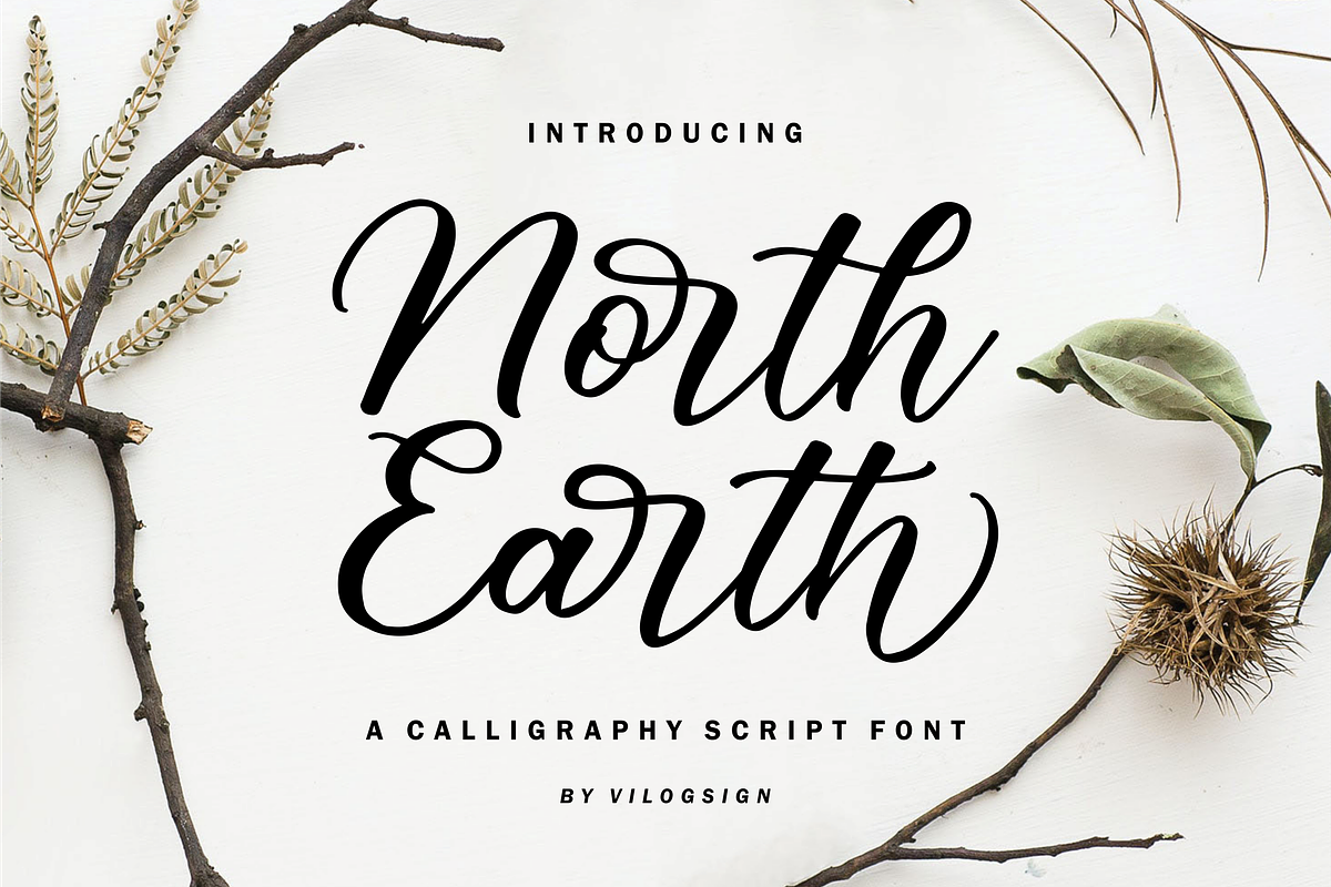 North Earth a Calligraphy Font, a Script Font by Vilogsign (Photo 1 of 10)