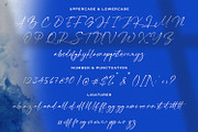 Franky Rain - Signature Script Font, a Script Font by StringLabs (Thumbnail 8 of 9)