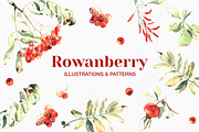 Watercolor rowanberry autumn clipart, a Seasonal Illustration by Harmony Draws (Thumbnail 1 of 8)