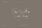 Anastasya Monoline Script, a Script Font by Creatype Studio (Thumbnail 5 of 9)