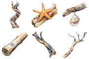 Driftwood & Coastal Decor Clipart, an Illustration by Pixels.Craft (Thumbnail 4 of 8)
