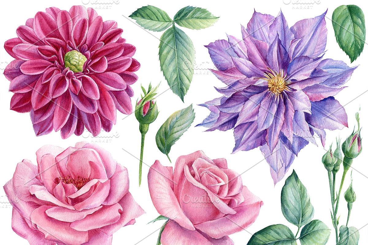 Delicate flowers, a Decorative Illustration by Hanna Hryharenka (Photo 4 of 13)