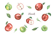 Watercolor Apple Collection, a Food Illustration by MayaNavits (Thumbnail 3 of 7)