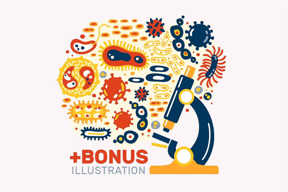 BACTERIUMS patterns & illustrations, an Education Illustration by Nastya Tkachova (Photo 7 of 13)