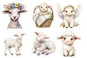 Watercolor Lambs Clipart PNG, an Illustration by SinaCreation (Thumbnail 3 of 5)
