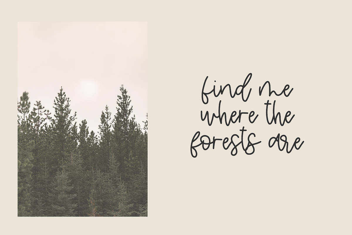 Pineblossom Script, a Handwritten Font by Beck McCormick (Photo 2 of 8)