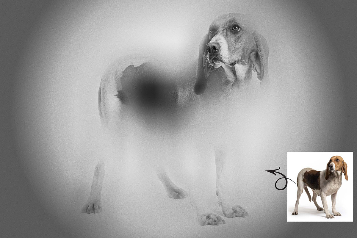 Blur Focus Photo Effect, an Action Add-On by MRI STUDIO (Photo 6 of 13)