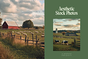 50 Farm Life Stock Photos, an Animal Photo by Incomelion (Thumbnail 8 of 9)