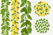 Watercolor Lemons Set, a Food Illustration by Helga Wigandt (Thumbnail 4 of 9)