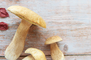 Fresh mushrooms lying on wooden table with autumn leaves, a Food & Drink Photo by Olena Rudo