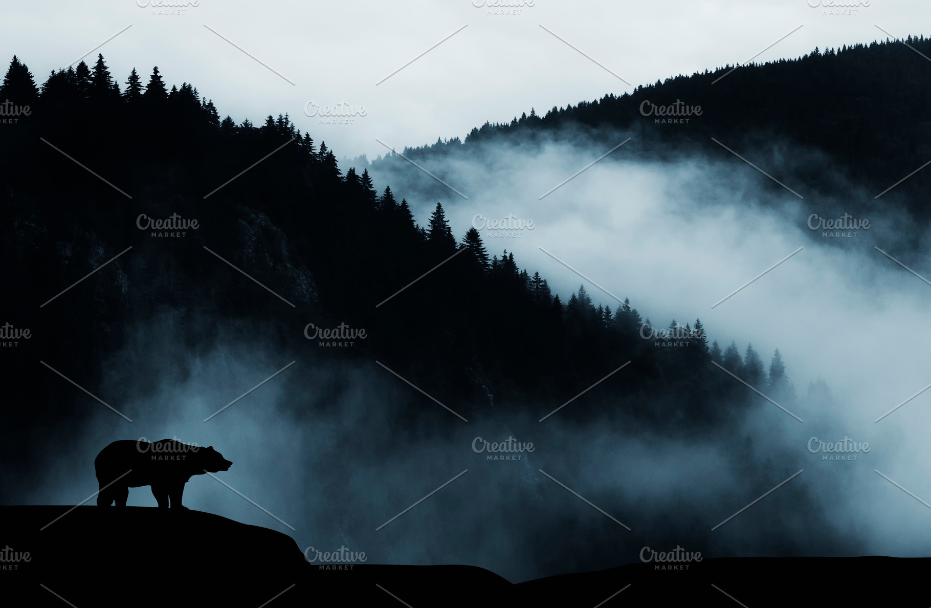 Dark landscape with bear and mist, an Animal Photo by Atmospheric visuals
