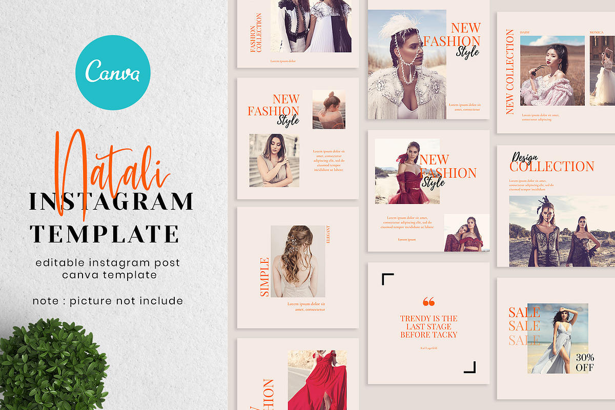 Canva Instagram Template Natali, a Social Media Template by Lythcreative (Photo 1 of 6)