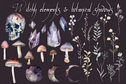 Magic botanical collection, a Decorative Illustration by marie dricot (Thumbnail 5 of 16)