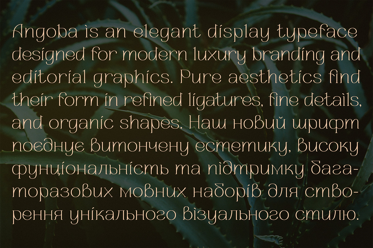 Angoba - Modern Luxury Serif Font, a Serif Font by Fedfonts (Photo 7 of 7)