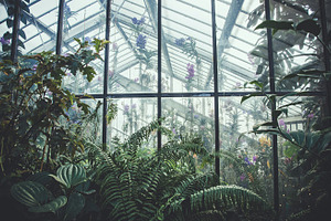 iseeyouphoto kew glasshouse 2
