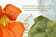 Summer garden watercolor clip art, an Illustration by ARTerria (Thumbnail 2 of 11)