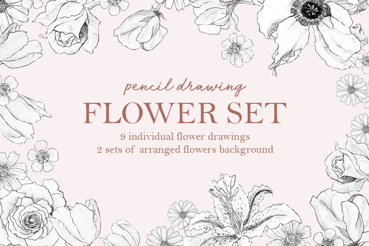 Pencil Drawing Flower Set, an Illustration by elpple (Photo 1 of 4)