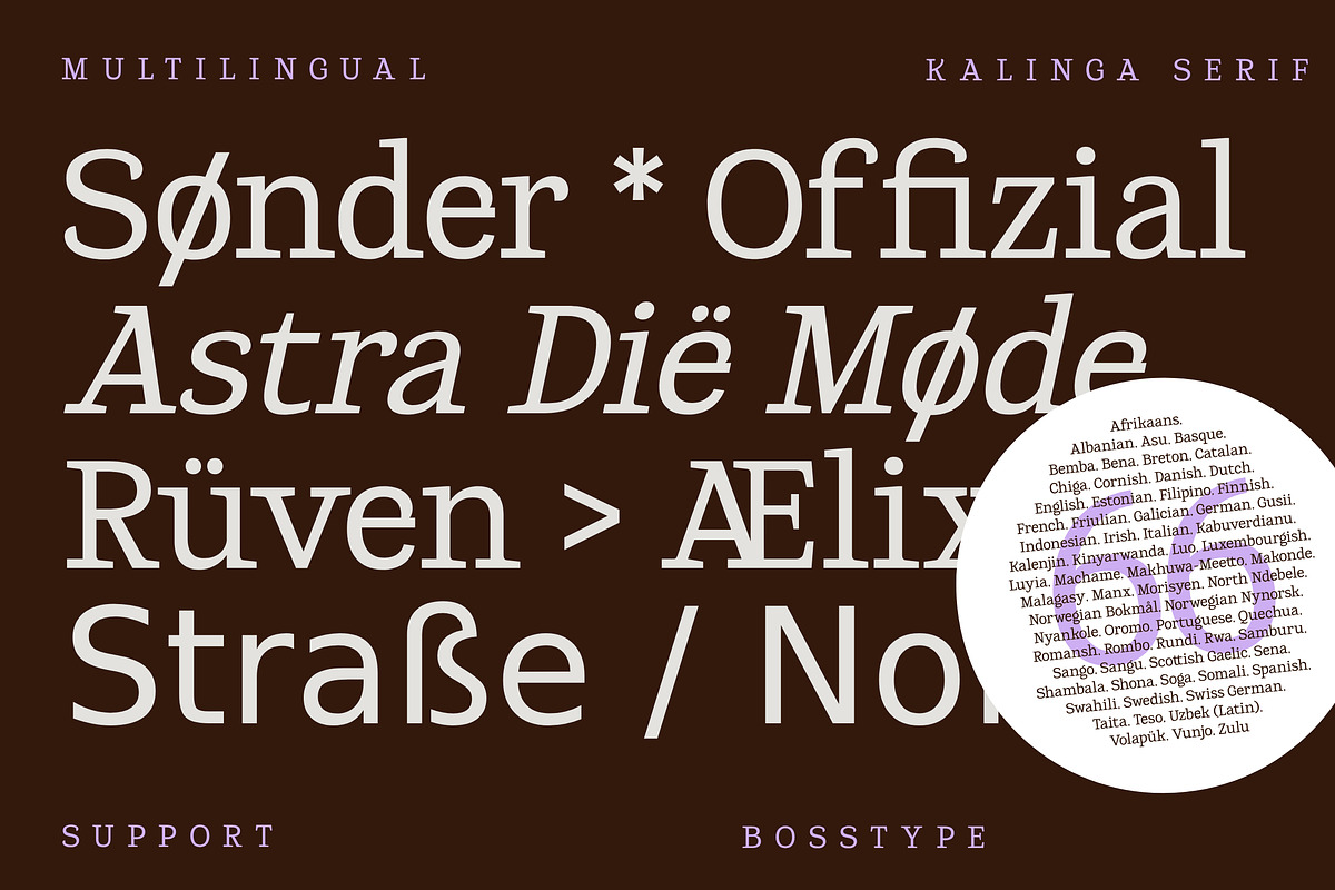 Kalinga | 91 Style Font, a Serif Font by Bosstype Studio (Photo 11 of 15)