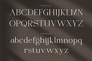 VIBERATE || ligature typeface, a Serif Font by ToniStudio (Thumbnail 6 of 10)