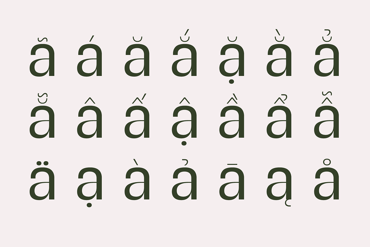SG Verace Display Font, a Sans Serif Font by Studio Gulden (Photo 6 of 15)