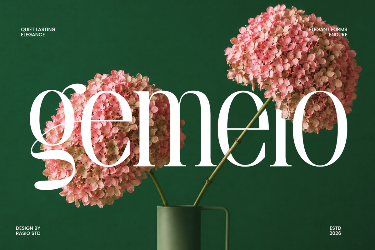La Carena Modern Elegant Serif Font, a Serif Font by Rasio Studio (Photo 6 of 9)