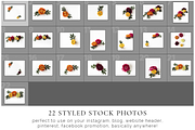 The Bright Blossom Bundle, a Print Template by Imperium Nordique (Thumbnail 5 of 5)