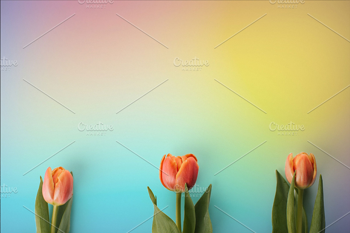 Easter Stock Photo Bundle - 75% OFF!, a Holiday Photo by GetMockups (Photo 16 of 21)