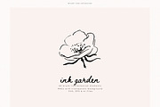 Ink Garden - 50 Brush Line Elements, a Decorative Illustration by PeDe Designs (Thumbnail 6 of 7)