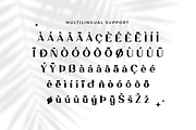 Salvador - Modern Serif Typeface, a Serif Font by overlaytemplates (Thumbnail 5 of 5)