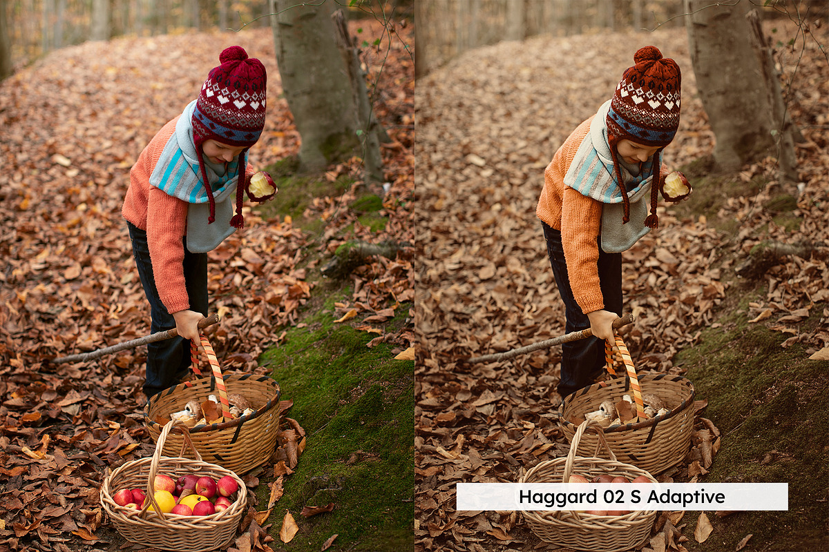 20 Cider Lightroom Presets and LUTs, a Preset Add-On by SparkleStock (Photo 4 of 13)